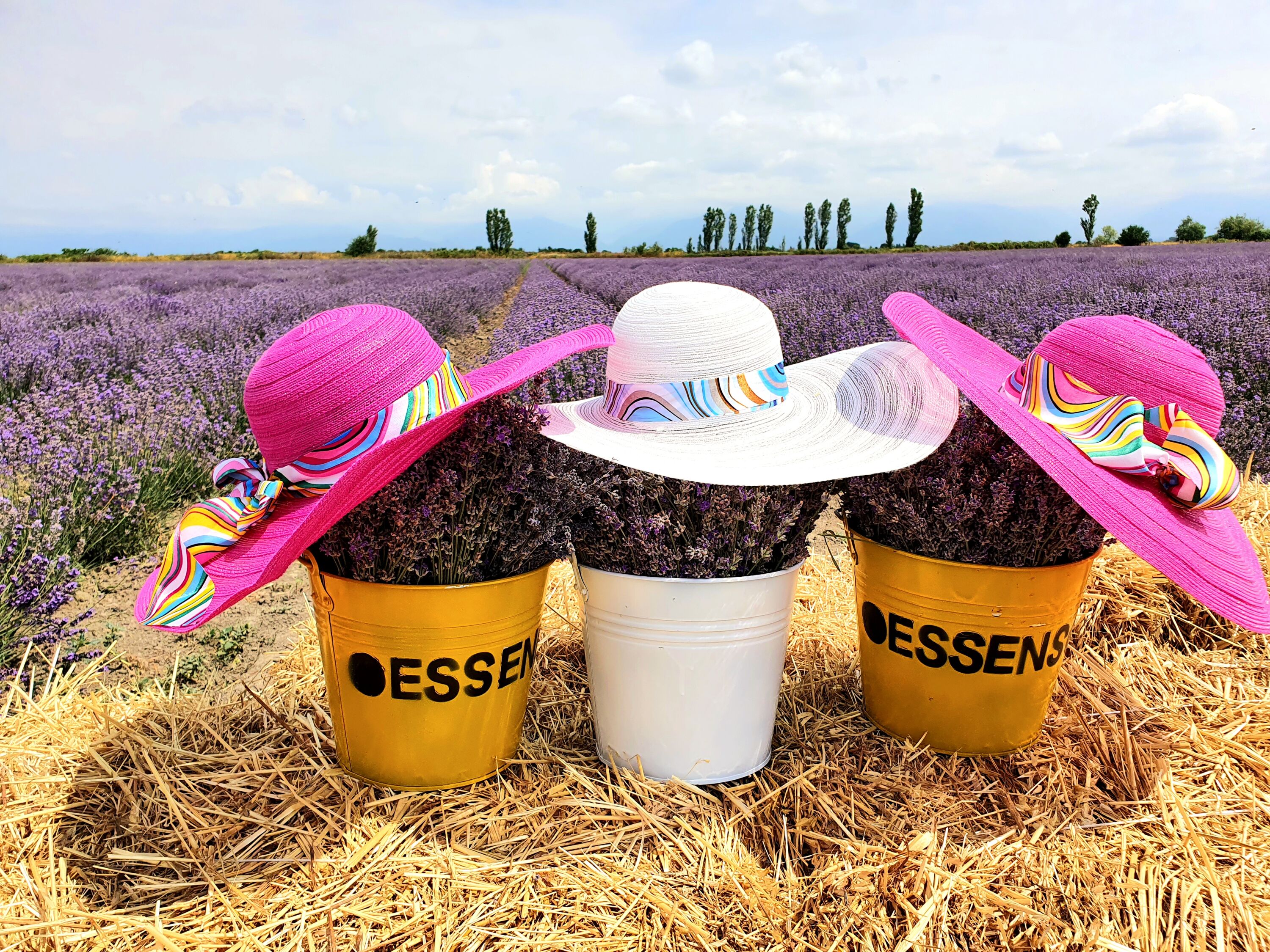 Gabala Nature and Tufandag Resort